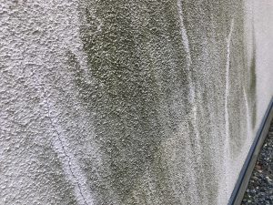 外壁の苔や藻